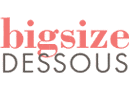 bigsize DESSOUS Logo