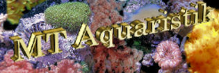 MT-Aquaristik Logo