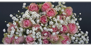 Flora Prima